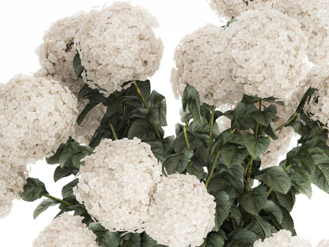 Festive Bouquet In A Ceramic Vase White Hydrangea 580 3D Model