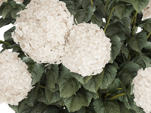 Festive Bouquet In A Ceramic Vase White Hydrangea 580 3D Model