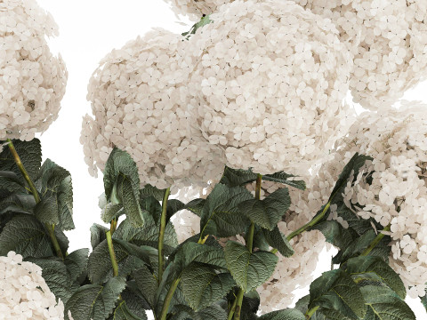 Festive Bouquet In A Ceramic Vase White Hydrangea 580 3D Model