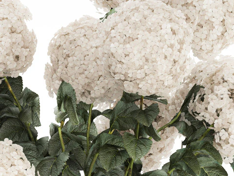 Festive Bouquet In A Ceramic Vase White Hydrangea 580 3D Model