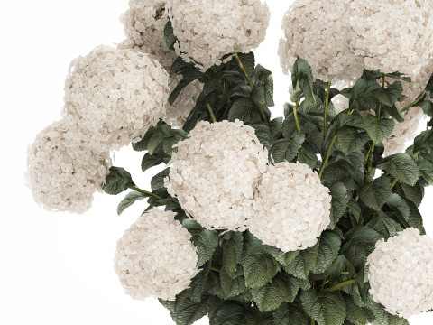Festive Bouquet In A Ceramic Vase White Hydrangea 580 3D Model