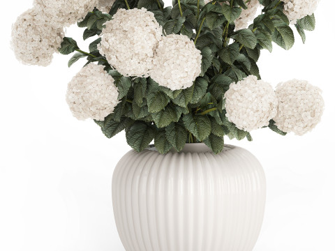 Festive Bouquet In A Ceramic Vase White Hydrangea 580 3D Model