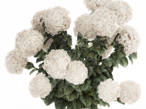 Festive Bouquet In A Ceramic Vase White Hydrangea 580 3D Model
