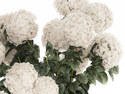 Festive Bouquet In A Ceramic Vase White Hydrangea 580 3D Model