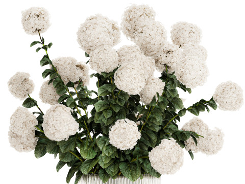 Festive Bouquet Glass Vase With White Hydrangea 581 Modelo 3D