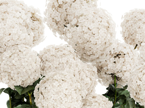 Festive Bouquet Glass Vase With White Hydrangea 581 Modelo 3D