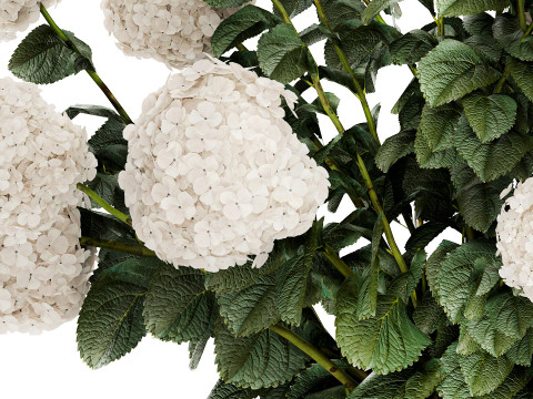 Festive Bouquet Glass Vase With White Hydrangea 581 Modelo 3D
