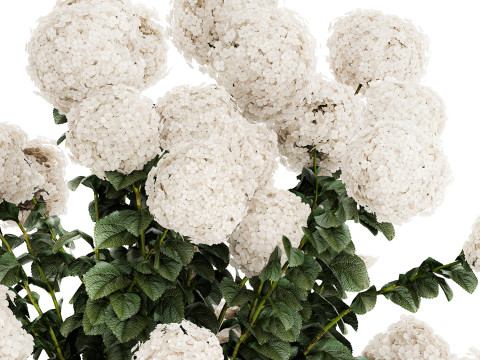 Festive Bouquet Glass Vase With White Hydrangea 581 Modelo 3D