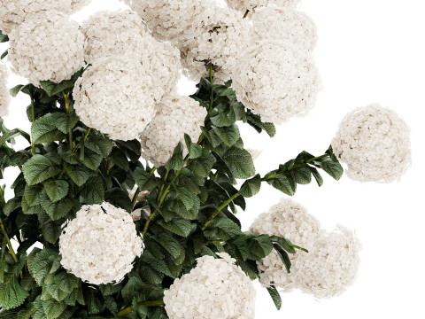Festive Bouquet Glass Vase With White Hydrangea 581 Modelo 3D