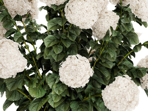 Festive Bouquet Glass Vase With White Hydrangea 581 Modelo 3D