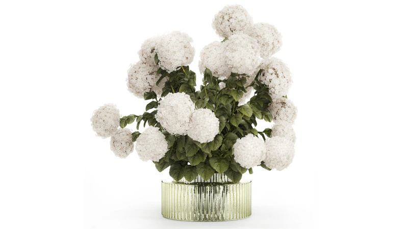 Buqu&ecirc; Festivo Vaso de Vidro Verde Hort&ecirc;nsia Branca 582 Modelo 3D .c4d .max .obj .3ds .fbx .stl .blend 