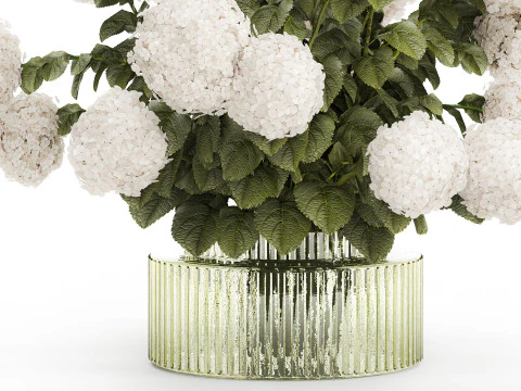 Buqu&ecirc; Festivo Vaso de Vidro Verde Hort&ecirc;nsia Branca 582 Modelo 3D