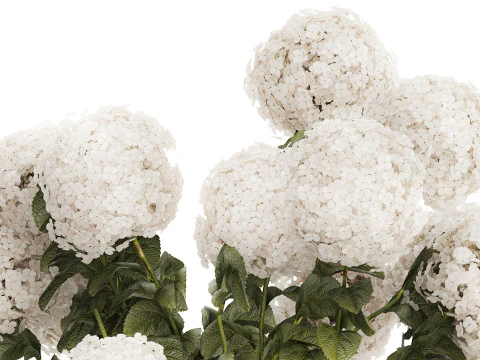 Buqu&ecirc; Festivo Vaso de Vidro Verde Hort&ecirc;nsia Branca 582 Modelo 3D