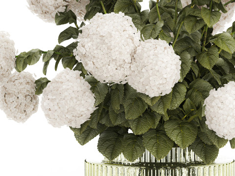 Festive Bouquet Glass Green Vase White Hydrangea 582 3D Модель