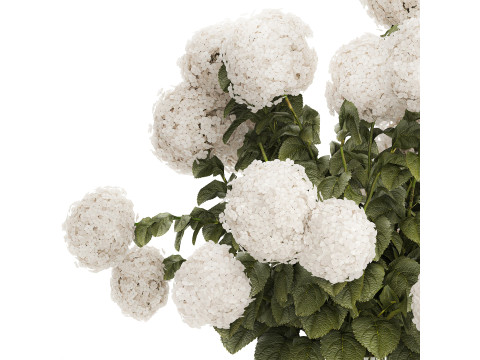 Festive Bouquet Glass Green Vase White Hydrangea 582 3D Модель