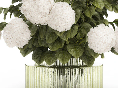 Buqu&ecirc; Festivo Vaso de Vidro Verde Hort&ecirc;nsia Branca 582 Modelo 3D