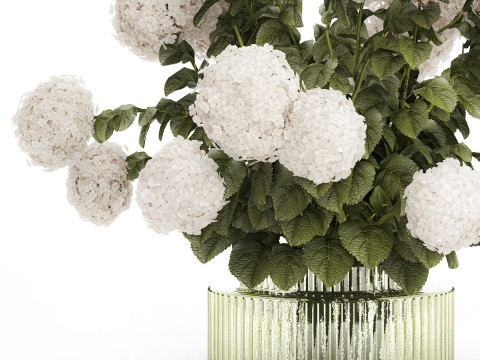 Festive Bouquet Glass Green Vase White Hydrangea 582 3D Модель