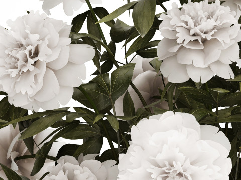 Festive Bouquet In A Glass Vase With White Peony 583 3D मॉडल