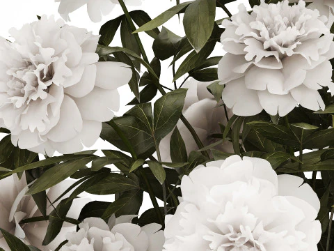 Festive Bouquet In A Glass Vase With White Peony 583 3D Model