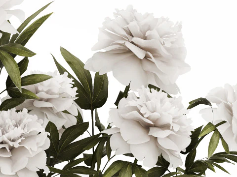 Festive Bouquet In A Glass Vase With White Peony 583 3D Model