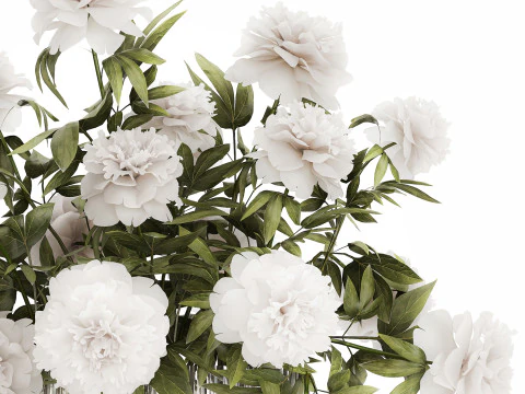 Festive Bouquet In A Glass Vase With White Peony 583 3D Model