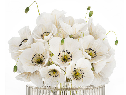 Beautiful Bouquet Of White Wild Flowers Poppy 584 Modelo 3D
