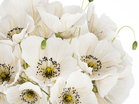 Beautiful Bouquet Of White Wild Flowers Poppy 584 Modelo 3D