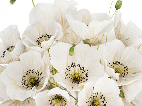 Beautiful Bouquet Of White Wild Flowers Poppy 584 Modelo 3D
