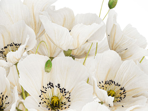 Beautiful Bouquet Of White Wild Flowers Poppy 584 Modelo 3D