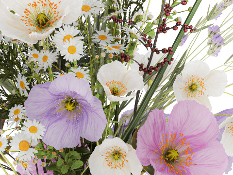 Beautiful Bouquet Of White Wild Flowers poppy 585 Modello 3D