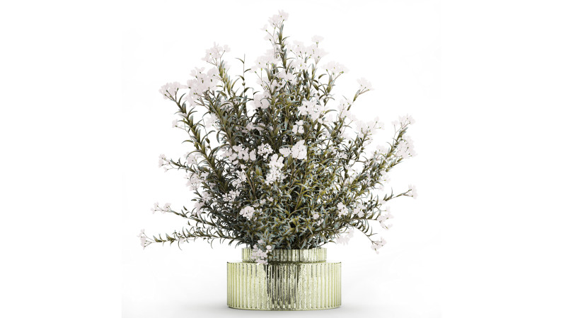 Festive Bouquet Glass Vase White Oleander Nerium 587 3D Model .c4d .max .obj .3ds .fbx .stl .blend