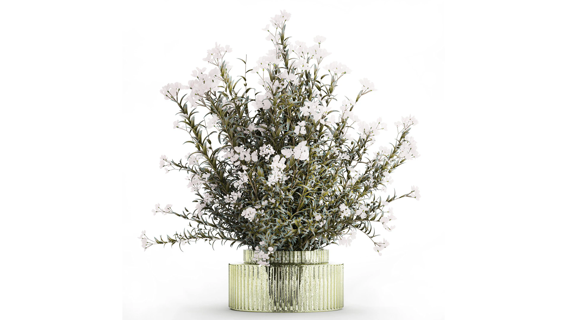 Vaso de vidro buqu&ecirc; festivo oleandro branco Nerium 587 Modelo 3D .c4d .max .obj .3ds .fbx .stl .blend 