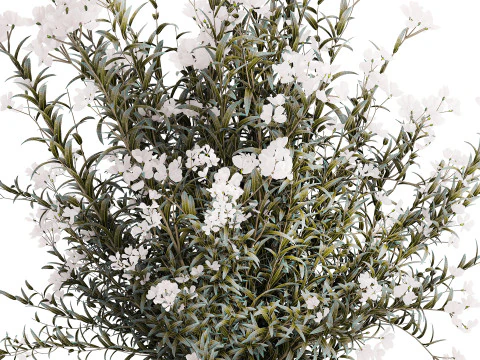 Vaso de vidro buqu&ecirc; festivo oleandro branco Nerium 587 Modelo 3D