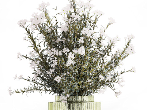Festive Bouquet Glass Vase White Oleander Nerium 587 3D Model