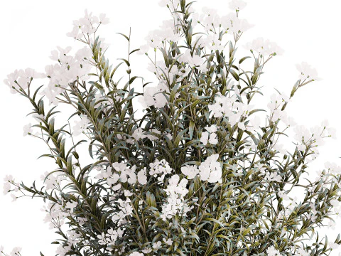 Vaso de vidro buqu&ecirc; festivo oleandro branco Nerium 587 Modelo 3D