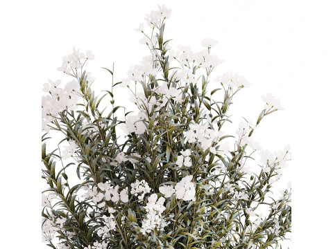 Vaso de vidro buqu&ecirc; festivo oleandro branco Nerium 587 Modelo 3D