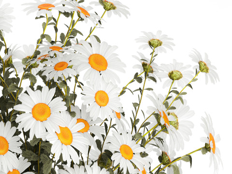 Lush Festive Bouquet Glass Vase White Chamomile 588 Modello 3D