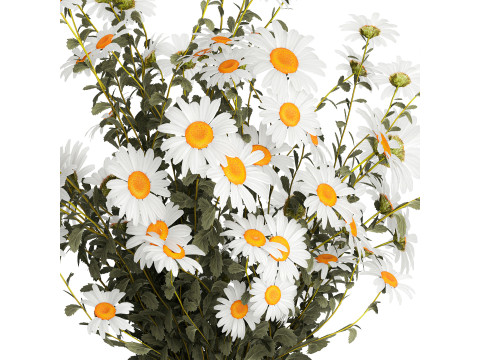 Lush Festive Bouquet Glass Vase White Chamomile 588 Modello 3D