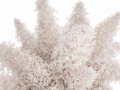 Large Festive Bouquet In A Glass Vase White Lilac 590 Modelo 3D