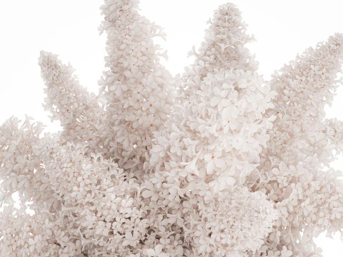 Large Festive Bouquet In A Glass Vase White Lilac 590 3D Model