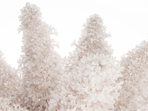 Large Festive Bouquet In A Glass Vase White Lilac 590 Modelo 3D