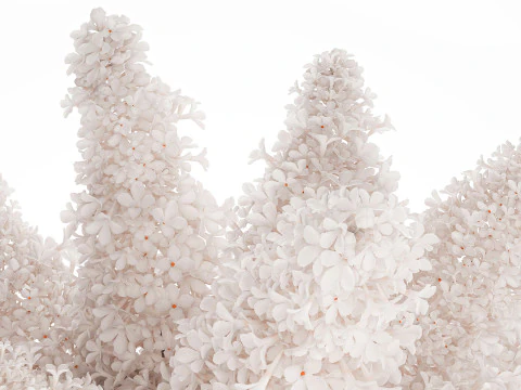 Large Festive Bouquet In A Glass Vase White Lilac 590 3D Model