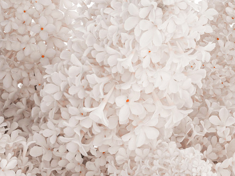Large Festive Bouquet In A Glass Vase White Lilac 590 Modelo 3D