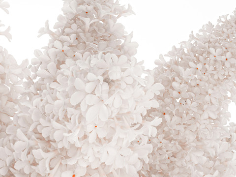 Large Festive Bouquet In A Glass Vase White Lilac 590 Modelo 3D