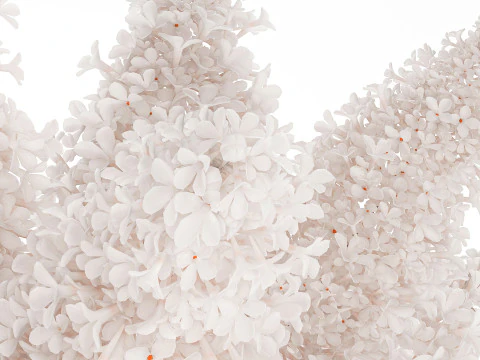 Large Festive Bouquet In A Glass Vase White Lilac 590 3D Model