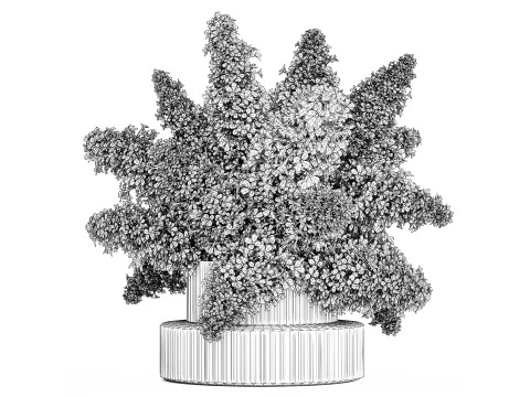 Large Festive Bouquet In A Glass Vase White Lilac 590 3D Model
