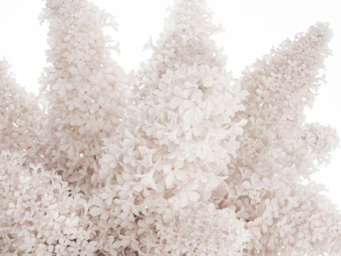 Large Festive Bouquet In A Glass Vase White Lilac 590 3D Model