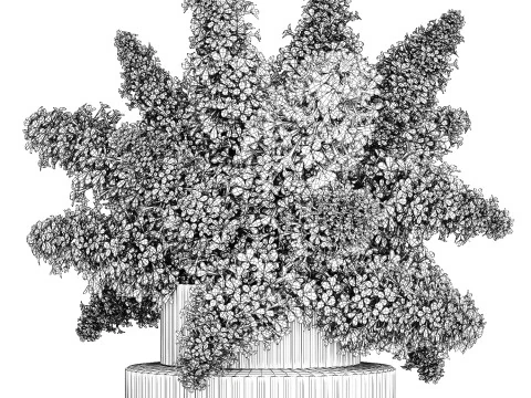 Large Festive Bouquet In A Glass Vase White Lilac 590 3D Model