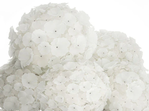 Buqu&ecirc; Festivo Em Vaso De Vidro Hort&ecirc;nsia Branca 591 Modelo 3D