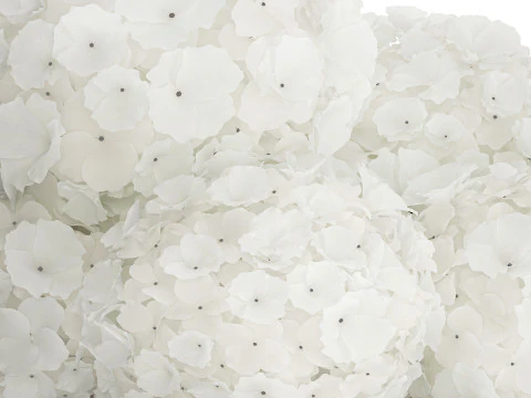 Buqu&ecirc; Festivo Em Vaso De Vidro Hort&ecirc;nsia Branca 591 Modelo 3D